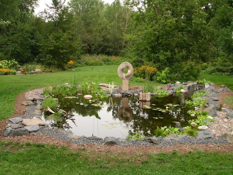 pond 008-1